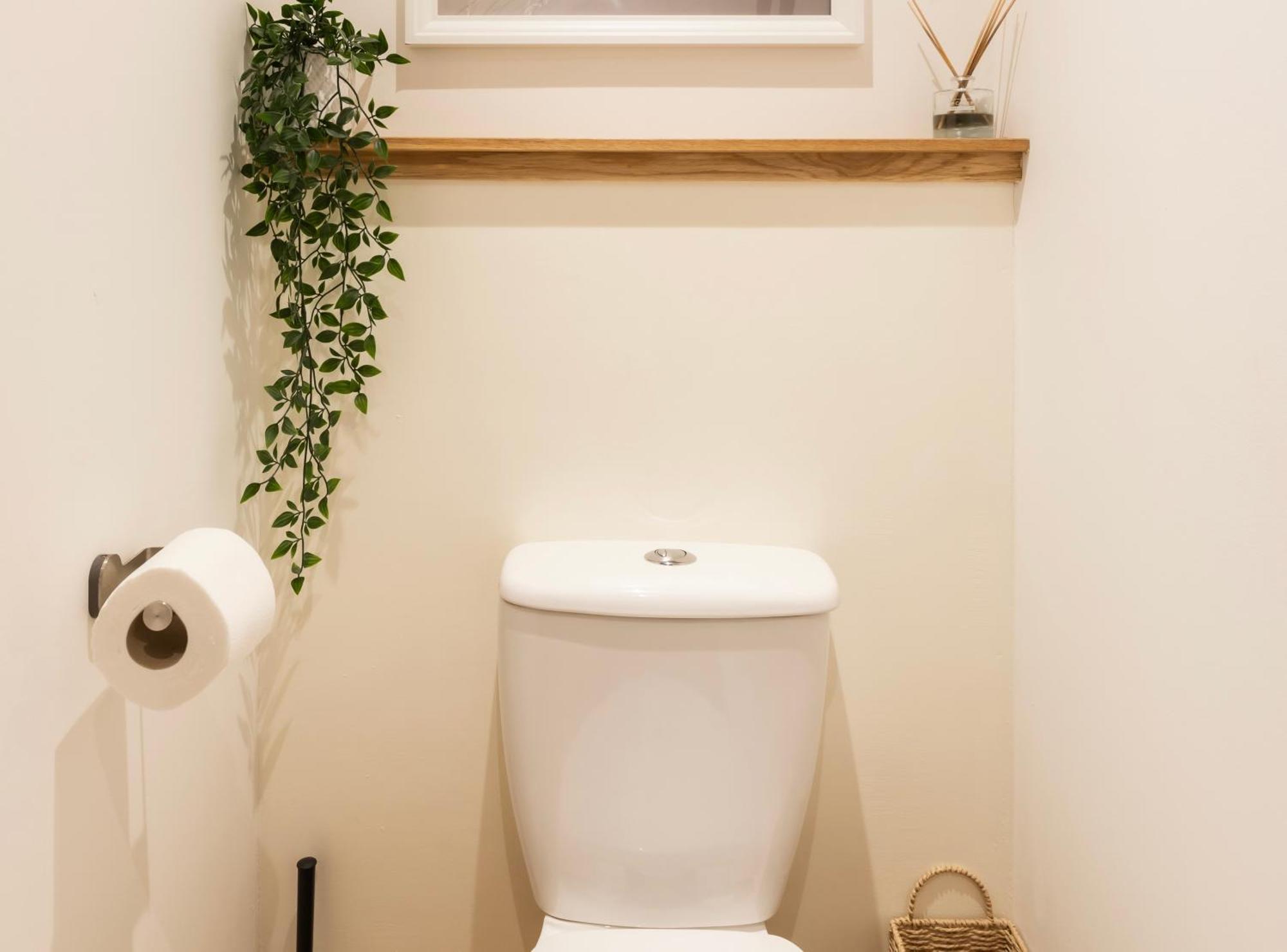 Tucked Away - Seaside Home In Anstruther Sleeps 6 外观 照片